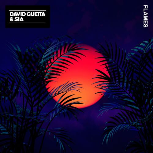 David Guetta